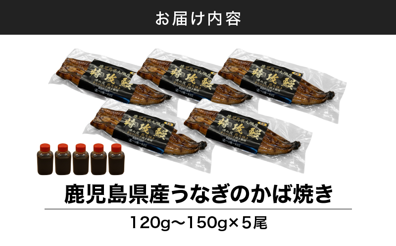ã10/1(æš)ããå¯éé顿¹å®äºå®ã鹿å
å³¶çç£ããªãã®ãã°çŒã 5å°ŸãKN174-001-05ãæéäŒç€Ÿ äžå¿é€šã