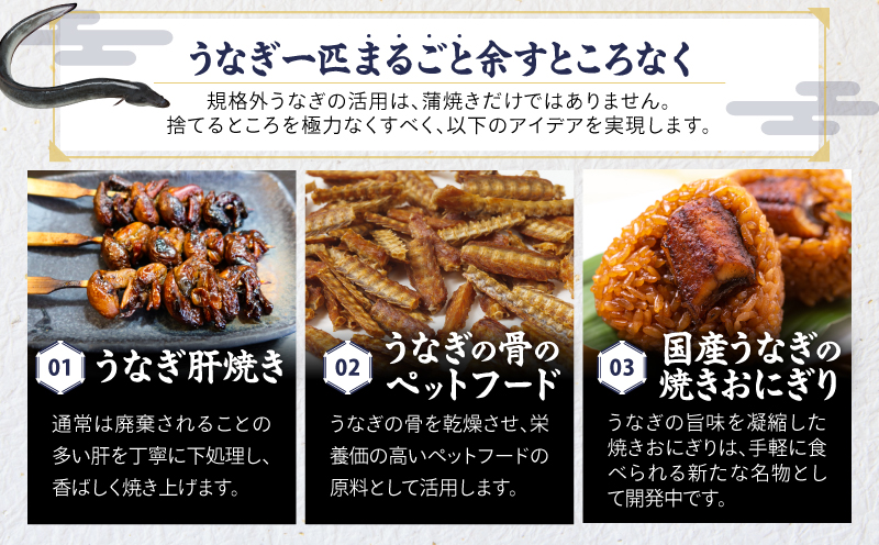 クラウドファンディングで応援！鰻の蒲焼に人気の紅はるか詰め合わせ 4尾＋冷凍焼き芋 1kg＋焼き干し芋 100g　KN026-021-04
