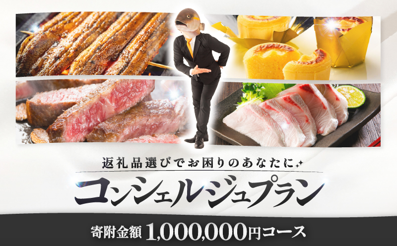 コンシェルジュプラン 寄付額100万円コース　KN000-CP100