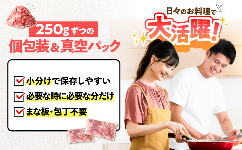 鹿児島県産豚肉切落し 6kg セット　KN165-008-02