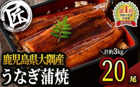 鹿児島県大隅産うなぎ蒲焼150ｇ×20尾セット