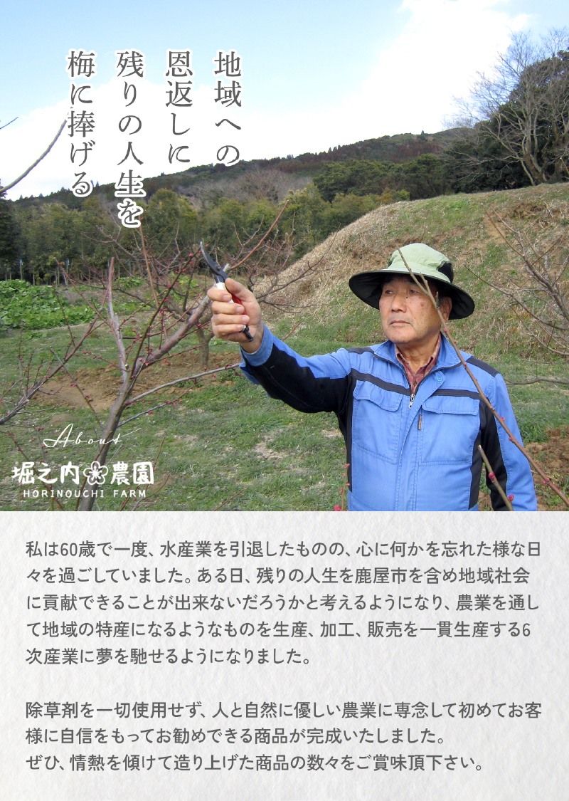 2588 ＜訳あり＞ つぶれ梅 梅干し かのや南高梅 食べ比べ F （はちみつ梅×5、しそ梅×2、レモン風味×2） 計9袋 ×300g （計2.7kg）　KN033-007-03