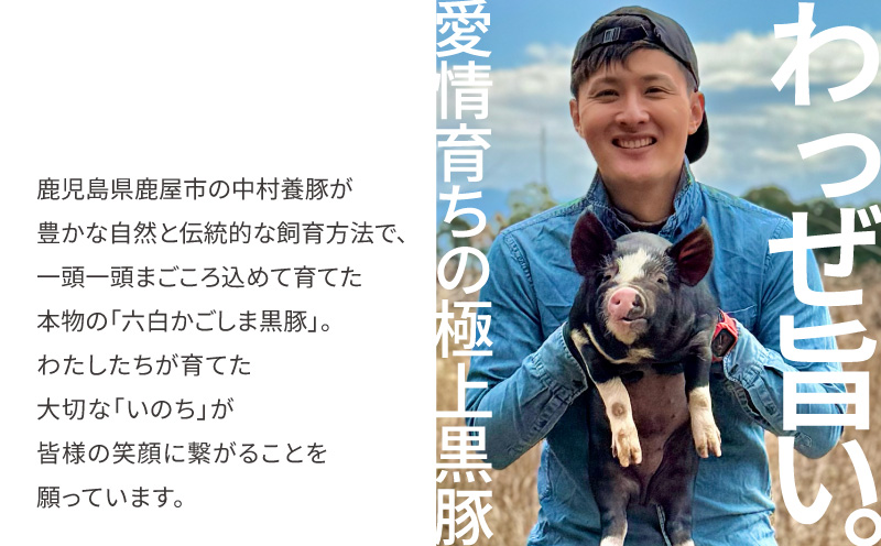 かごしま黒豚しゃぶしゃぶ 800g /贈答用箱入り　KN167-001