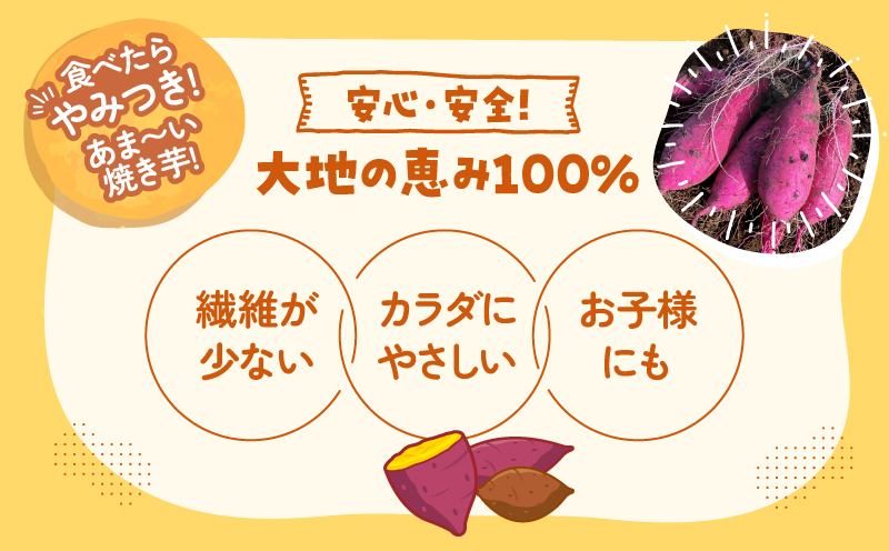 おいもや あま～い冷凍焼き芋 食べ比べセット（計800g）　KN091-005