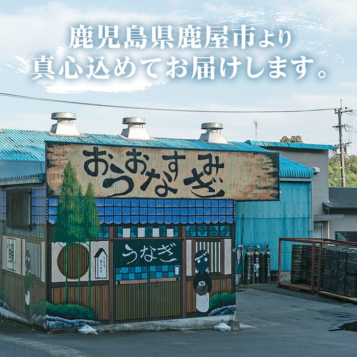 うなぎ問屋の 備長炭手焼 うなぎ蒲焼5尾（600g） 