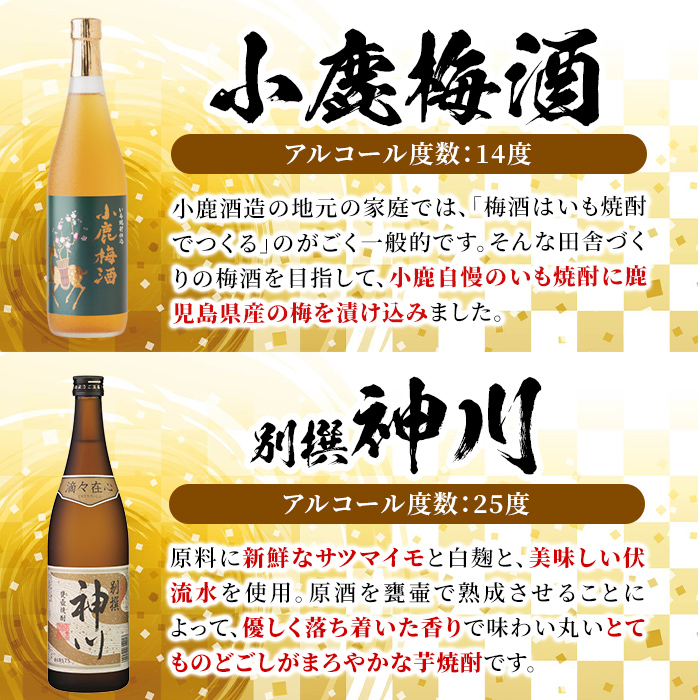 【お急ぎ便】【家族で飲み比べ】鹿児島本格芋焼酎・梅酒のお手軽な6本セット　大海酒造・小鹿酒造・神川酒造【本格焼酎 焼酎 芋焼酎 梅酒 梅 ロック お湯割り ソーダ割 水割り 飲み比べ 常温 常温保存 お急ぎ便】