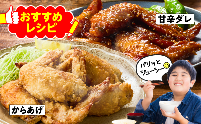 鹿児島県産若鶏手羽先 9.6kg セット　KN165-006-02
