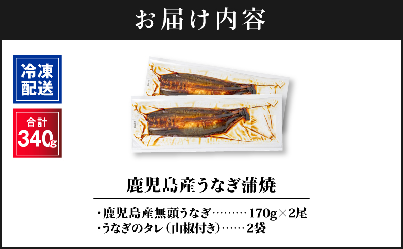 1121-4 鹿å
å³¶ç£ããªã åèš340gïŒ170gÃ2å°ŸïŒ æž
ãããªå°äžæ°Žè²ã¡ïŒãKN021-014-02ãæ ªåŒäŒç€Ÿè²¡å®ã