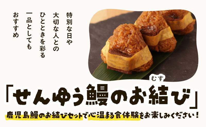 鹿児島うなぎのおむすびセット　KN084-005