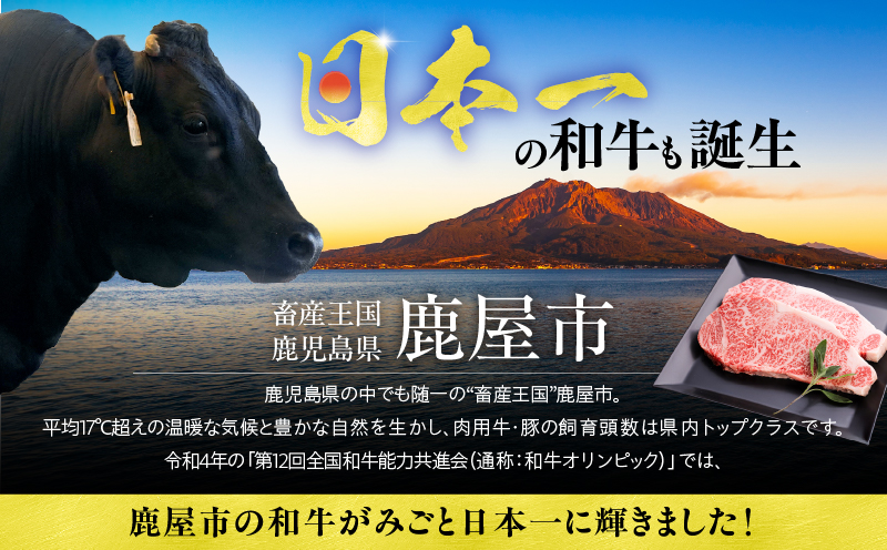 506-1 鹿å
å³¶çç£é»æ¯åçã·ã£ããŒããªã¢ã³4ã5æå
¥ïŒçŽ560gïŒãKN019-008