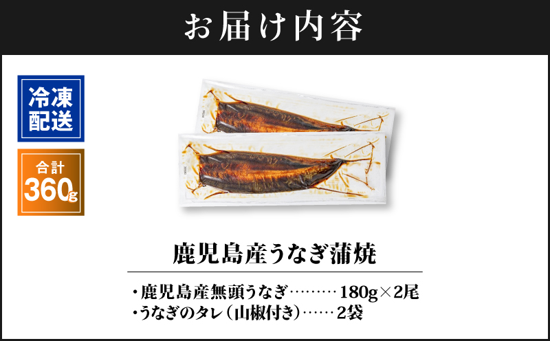 1284-3鹿児島産うなぎ 合計360g（180g×2尾） 清らかな地下水育ち！　KN021-015-02【株式会社財宝】