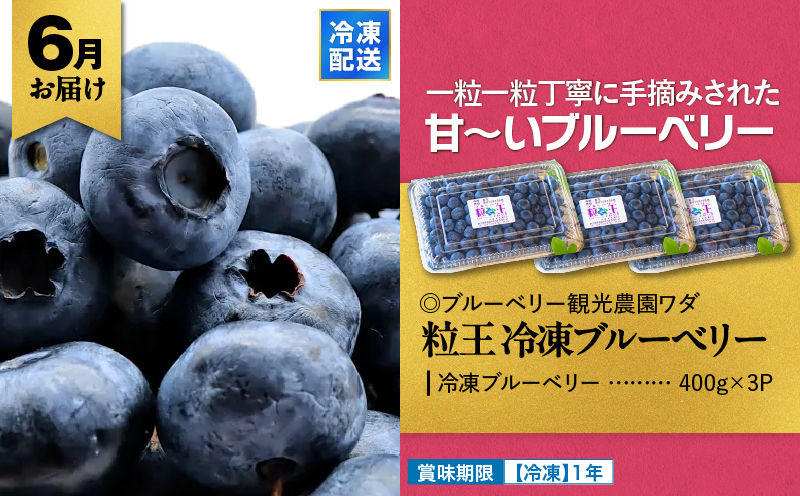 縲仙ィ6蝗槭鷹ケソ螻九き繝ウ繝翫リ萓ソ縲KN000-T10