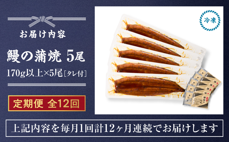 クラウドファンディングで応援！【全12回定期便】鰻の蒲焼 5尾（170g×5）　KN026-T09