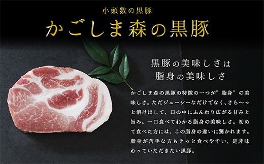 「かごしま森の黒豚」バラエティ定期便（年12回お届け）三清屋ファーム【定期 お楽しみ 黒豚 豚 ステーキ トンカツ しゃぶしゃぶ ハンバーグ ソーセージ 肉団子 国産】