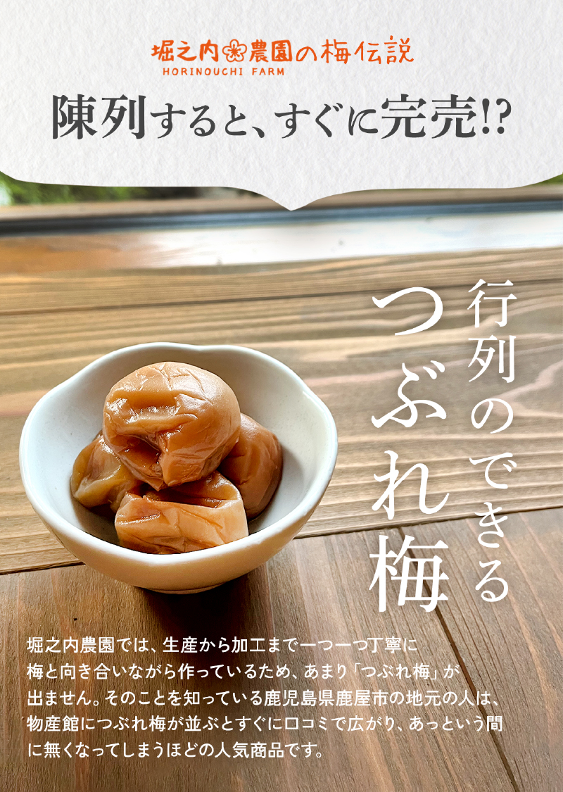 2588 ＜訳あり＞ つぶれ梅 梅干し かのや南高梅 食べ比べ F （はちみつ梅×5、しそ梅×2、レモン風味×2） 計9袋 ×300g （計2.7kg）　KN033-007-03