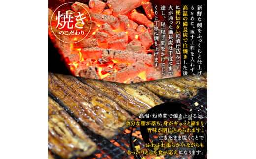 訳あり　備長炭手焼き　うなぎ蒲焼10尾1000ｇ