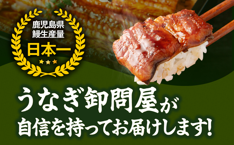 1388 大隅特産うなぎ蒲焼4尾（680g）　KN060-001-02