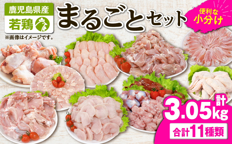 2649 若鶏まるごと3.05kgセット　KN105-006