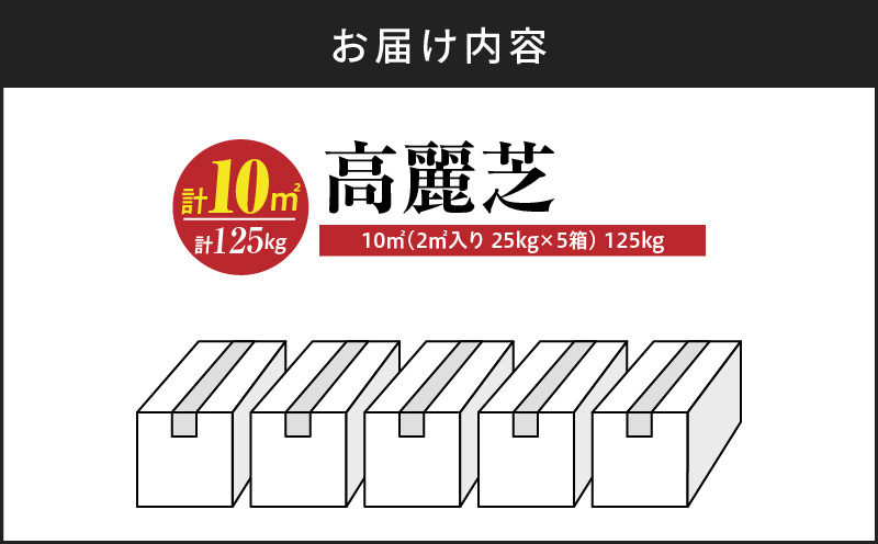 【10月から5月に発送】高麗芝（10平方メートル）　KN177-003-02