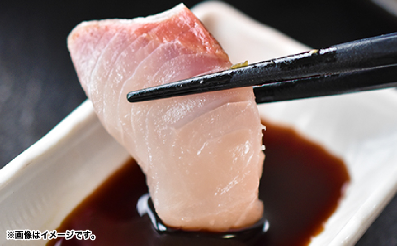 174-1 かのやカンパチロイン（カマ入）　KN001-001