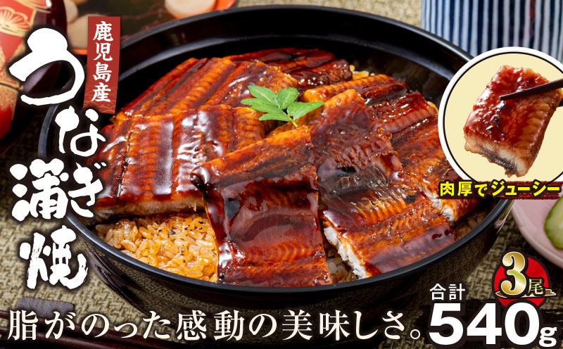 2446 鹿児島産うなぎ 合計540g（180g×3尾） 清らかな地下水育ち！　KN021-015-03