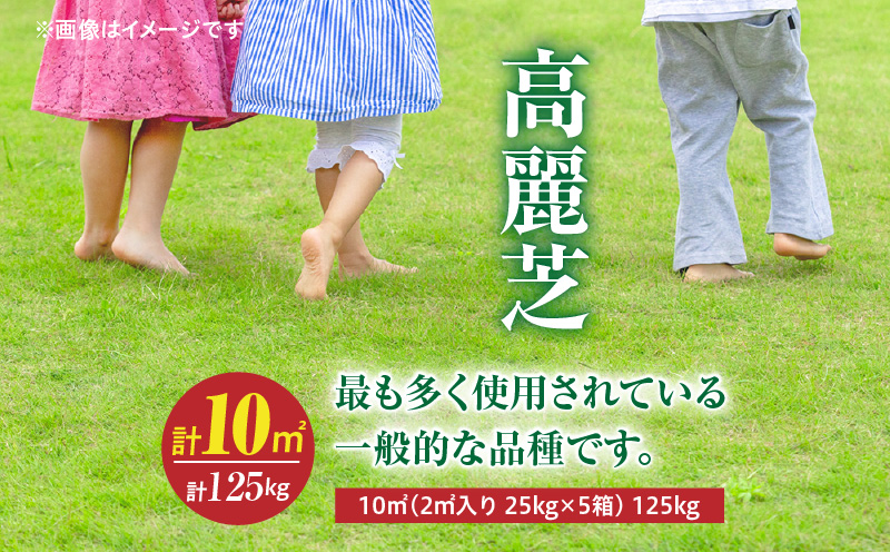【10月から5月に発送】高麗芝（10平方メートル）　KN177-003-02