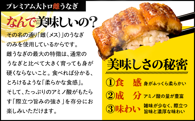 【訳あり（規格外）】プレミアム大トロ雌うなぎ蒲焼1尾（45尾サイズ：210〜235g）　KN040-022
