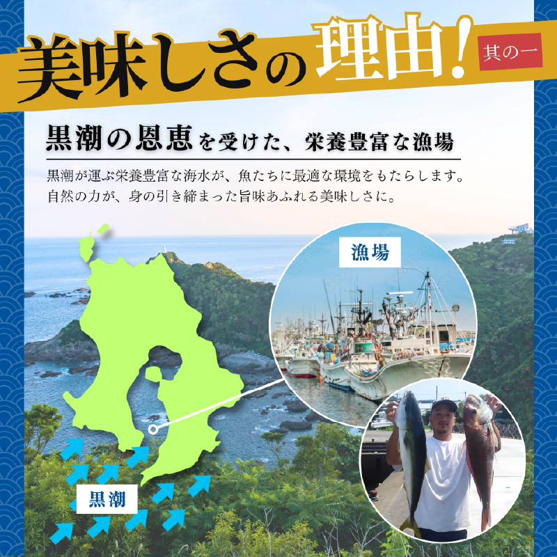 鹿å±åžç£ ããã±ã¡ è¡éº»é€æ²¹æŒ¬ã 海鮮䞌ã»ãã 10é£åãKN097-005-04