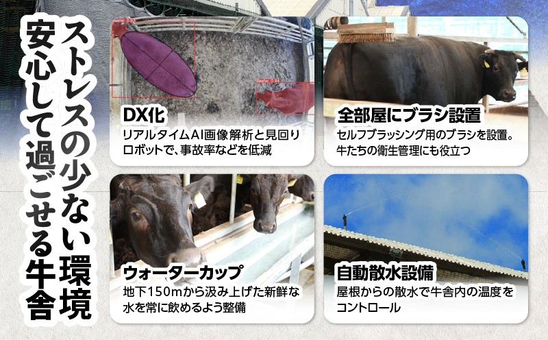 2548 【ナカヤマさんちのお肉】牛すじ煮込み専門肉 計1kg（500g×2袋）　KN050-024