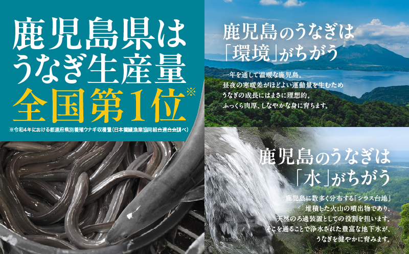 鹿児島県大隅産うなぎ蒲焼5尾セット（計600g）　KN007-022