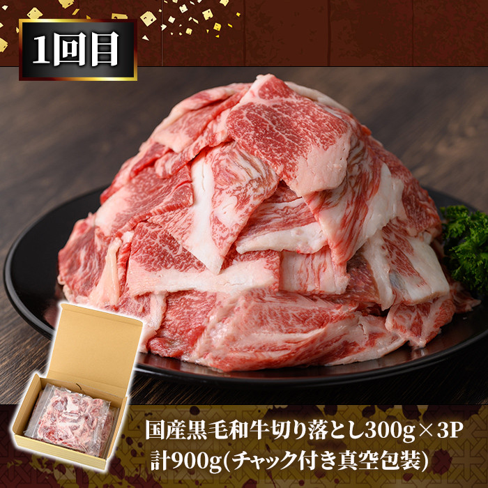 牛肉・豚肉　日常使い定期便（３回お届け）