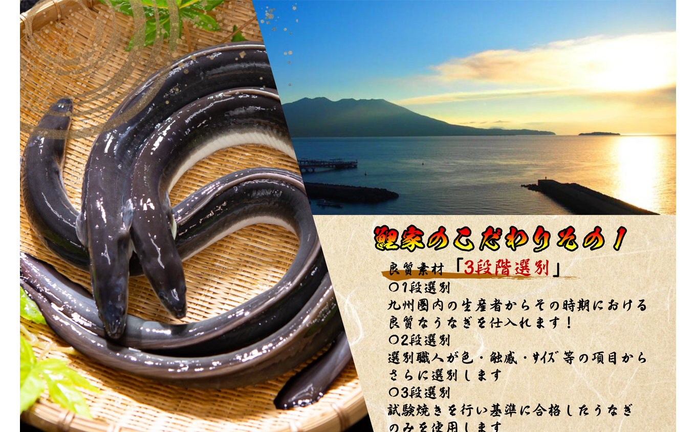 1721-2 【定期（全6回）】大人気！鯉家の極上蒲焼「大トロうなぎ（4尾）」【国産・手焼き備長炭】　KN040-T02