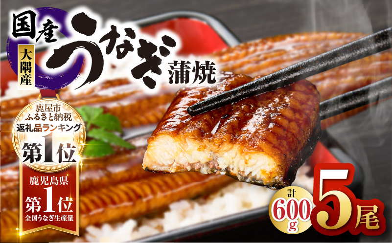 鹿児島県大隅産うなぎ蒲焼5尾セット（計600g）　KN007-022