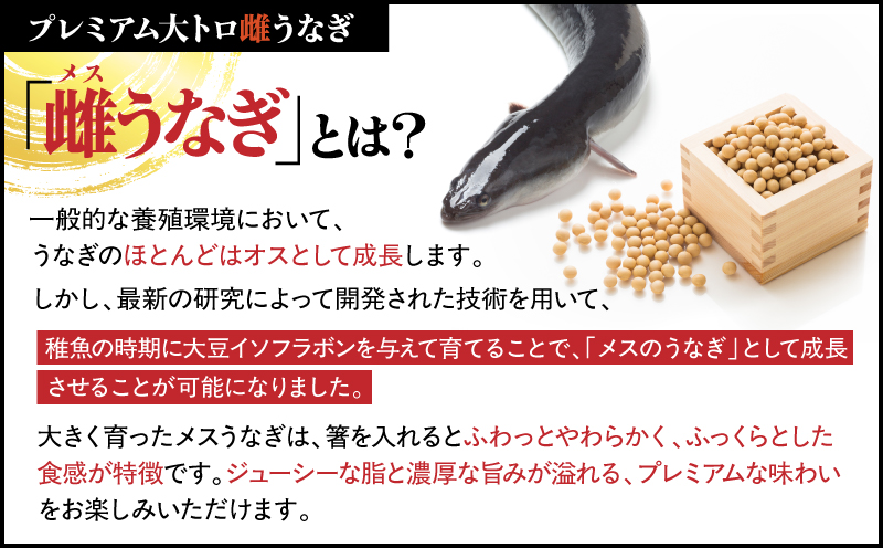 【訳あり（規格外）】プレミアム大トロ雌うなぎ蒲焼1尾（45尾サイズ：210〜235g）　KN040-022
