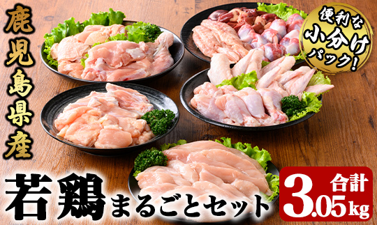 若鶏まるごと3.05ｋｇセット【国産 鹿児島県産 鶏肉 鶏 鳥肉 鶏もも 鶏むね 鶏ささみ 手羽元 手羽先 チキンリブ 砂肝 肩肉 セット 小分け 真空 冷凍 冷凍保存】