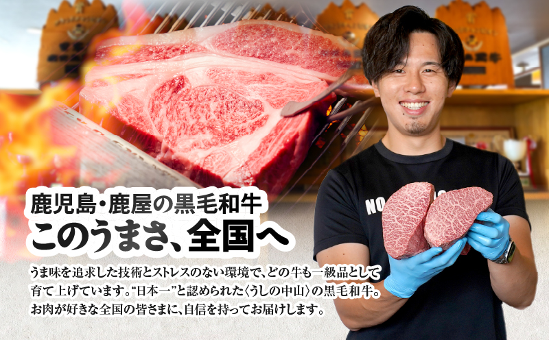 2534 【ナカヤマさんちのお肉】和牛100%ミンチ1kg（500g×2袋）　KN050-025