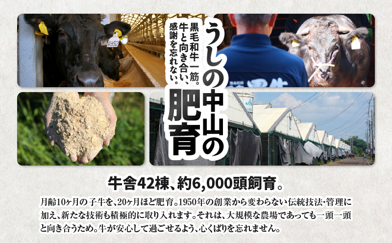 2548 【ナカヤマさんちのお肉】牛すじ煮込み専門肉 計1kg（500g×2袋）　KN050-024