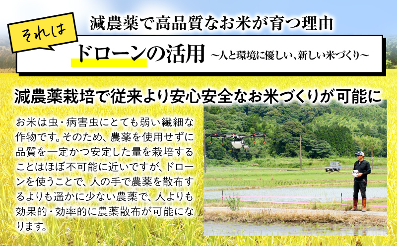 2294-2 縲仙ィ12蝗槫ョ壽悄萓ソ縲代%縺繧上j霎イ螳カ縺ョ閾ェ菫。菴懶シ鮖ソ螻句クるォ倬嚠逕」縲後イ縺ョ縺イ縺九j縲 險60kg縲KN069-T05縲舌ワ繝槭ム蝠莠区怏髯蝉シ夂、セ縲