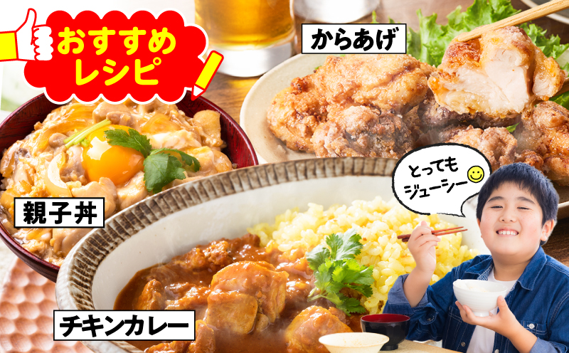 鹿児島県産若鶏モモ切身 4.8kg セット　KN165-003-01