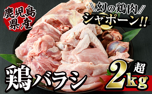 唯一の国産 幻の鶏肉 シャポーン鹿児島鶏バラシ２Kg以上【鶏肉 鶏 鳥肉 もも肉 むね肉 ガラ ササミ 手羽先 手羽元 内臓】