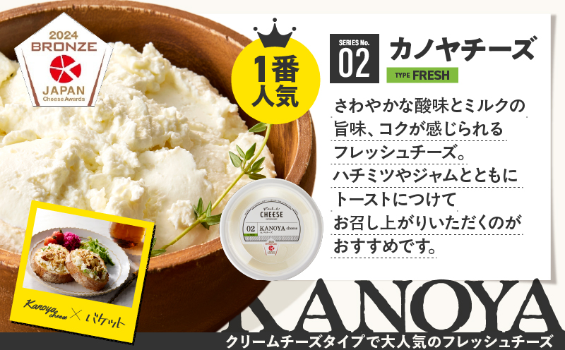 1128 ãã¬ãã·ã¥ããŒãº6çš®/ã®ãªã·ã£ãšãŒã°ã«ãã»ãããKN087-002