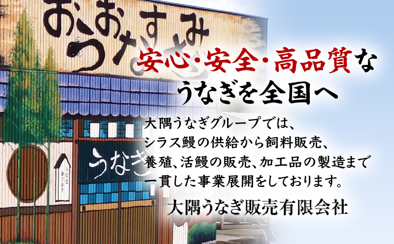 うなぎ問屋の備長炭手焼うなぎカット 2枚入×4袋 計250g　KN029-003-06