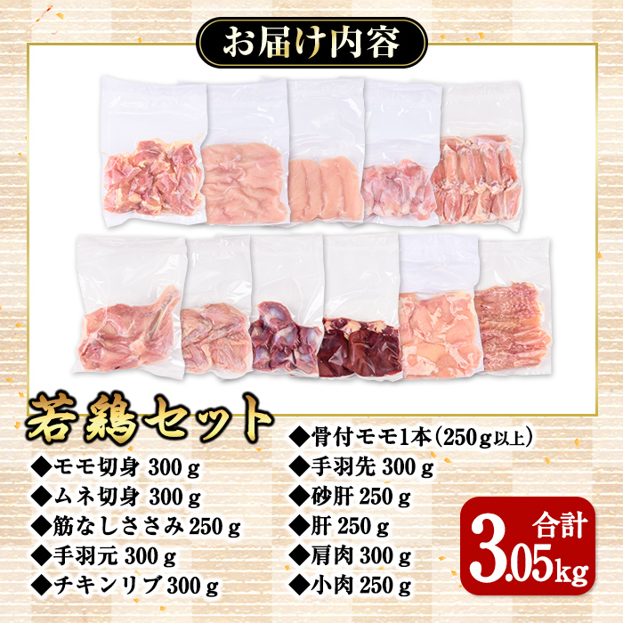 若鶏まるごと3.05ｋｇセット【国産 鹿児島県産 鶏肉 鶏 鳥肉 鶏もも 鶏むね 鶏ささみ 手羽元 手羽先 チキンリブ 砂肝 肩肉 セット 小分け 真空 冷凍 冷凍保存】