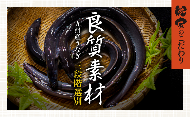 1705-2 大人気!鯉家の極上蒲焼「簡単!大トロうな丼(きざみ蒲焼10袋)」【国産・手焼き備長炭】 KN040-011-02【鯉家】