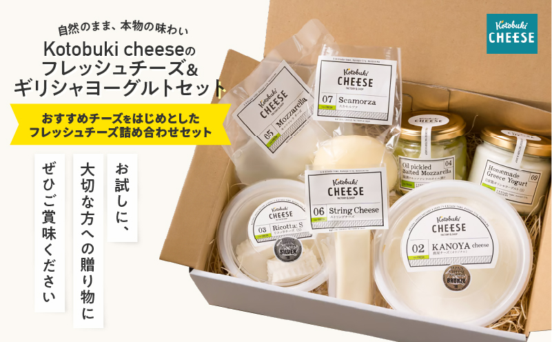 1128 ãã¬ãã·ã¥ããŒãº6çš®/ã®ãªã·ã£ãšãŒã°ã«ãã»ãããKN087-002