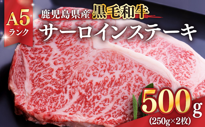 1397-1 鹿児島県産黒毛和牛A5ランクサーロインステーキ 500g（250g×2枚）　KN041-001-01