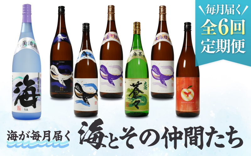 【全6回定期便】「海とその仲間たち」海が毎月届く　KN034-T02