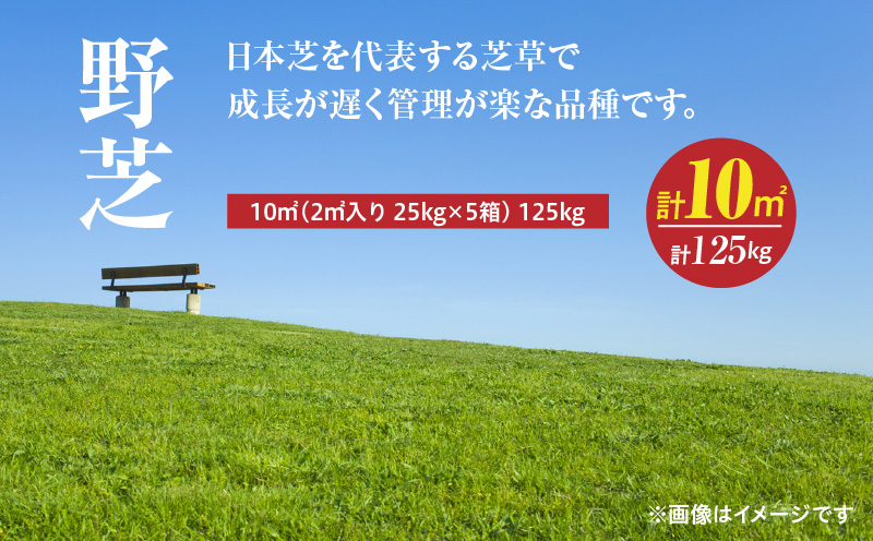 ã10æãã5æã«çºéãéèïŒ10å¹³æ¹ã¡ãŒãã«ïŒãKN177-005-02