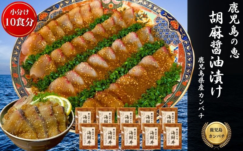 鹿屋市産 かんぱち 胡麻醤油漬け 海鮮丼セット 10食分　KN097-005-04