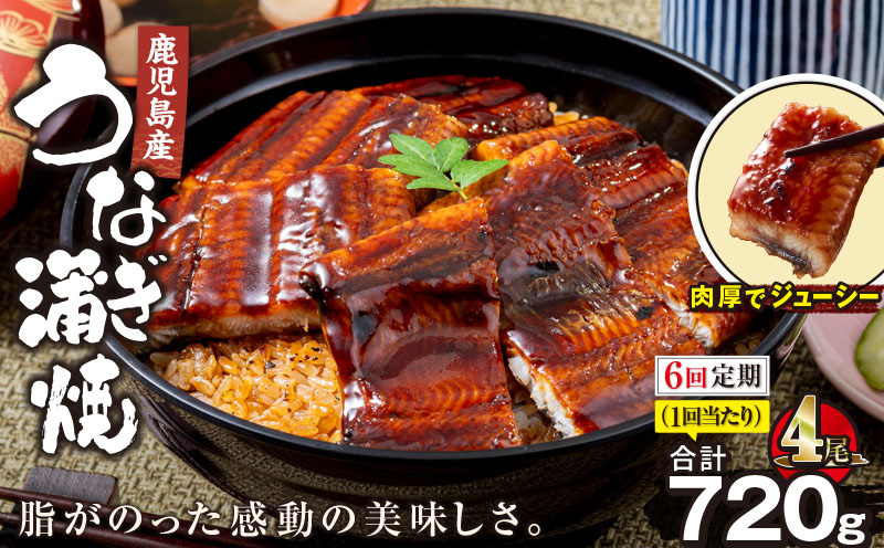 【全6回定期便】鹿児島産うなぎ蒲焼 180g×4尾 清らかな地下水育ち！　KN021-T40